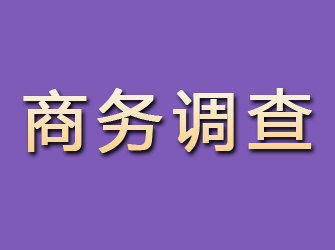 柳江商务调查